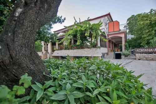Apartments in Starigrad-Paklenica 43533