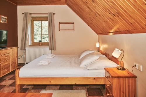 a bedroom with a bed and a window and a television at Penzion pod Šerákem - celý objekt Ostružná - Jeseníky in Ostružná