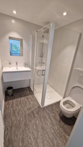ein Badezimmer mit Dusche, Toilette und Waschbecken in der Unterkunft Haus Chresten in Büllingen