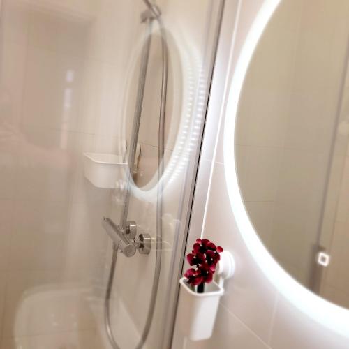 a bathroom with a shower with a round mirror at Pindeck in Bad Oldesloe