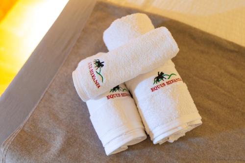 two rolls of toilet paper sitting next to each other at Equus Silvania in Şinca Nouă