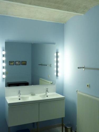 un bagno con lavandino bianco e specchio di La Colombière a Lurcy-le-Bourg