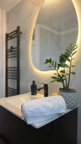 a bathroom with a sink with a plant and a mirror at Irène House in Egina