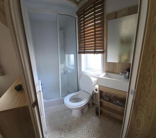 a bathroom with a toilet and a shower and a sink at Thurston Manor Holiday Park - Woodlands 1 in Innerwick