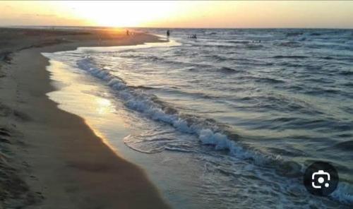 مارينا دلتا لاجونز