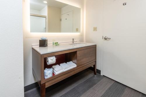 a bathroom with a sink and a mirror at Holiday Inn Hotel & Suites Memphis-Wolfchase Galleria by IHG in Memphis