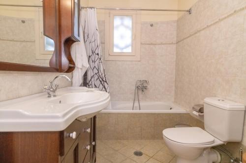 a bathroom with a sink and a toilet and a tub at To Diko Mas House in Stení
