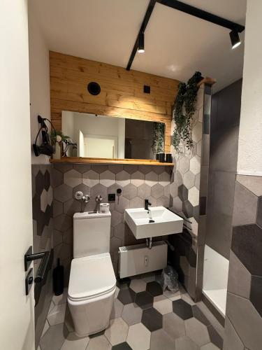 a bathroom with a toilet and a sink at Alpenstubn - Chiemgau Karte in Inzell