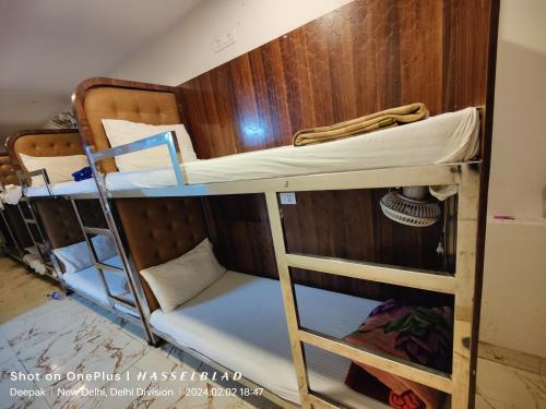 a couple of bunk beds in a room at The Charlie Backpackers in New Delhi