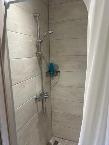 a shower with a glass door in a bathroom at Aux cigogneaux in Guémar