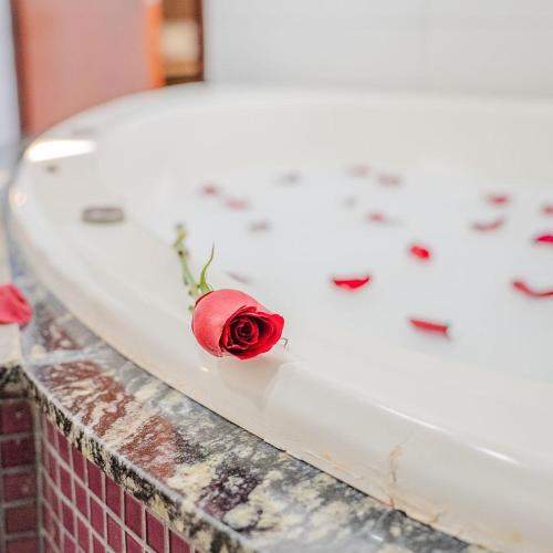 a red rose sitting on top of a grave at Hotel Vale da Serra in Parauapebas