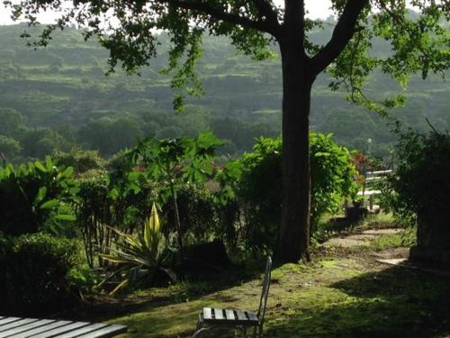 Jardín al aire libre en Hotel Kailas