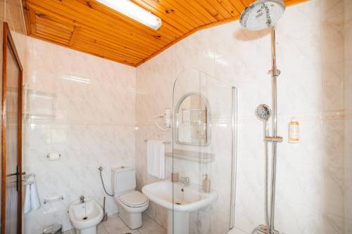 a bathroom with a shower and a toilet and a sink at Casa da Avó Lina by Quantique in Vieira do Minho