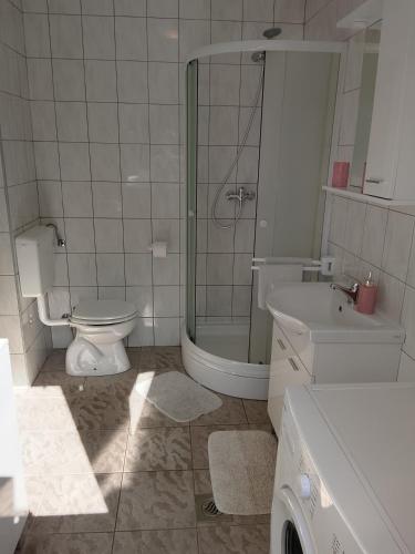 a bathroom with a toilet and a shower and a sink at Apartment Buic in Pula