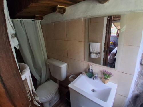 a bathroom with a toilet and a sink and a mirror at B&B Dormis de montaña Memé in Potrerillos