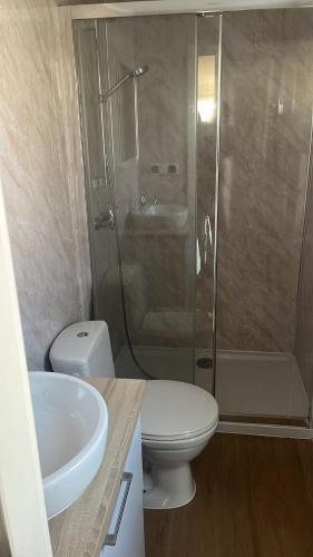 a bathroom with a shower and a toilet and a sink at Chalet Pallegarste 153 in Mariënberg