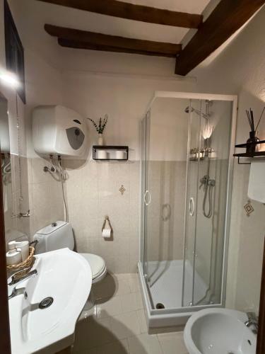 a bathroom with a shower and a toilet and a sink at La Piazzetta Apartment in Pietralunga