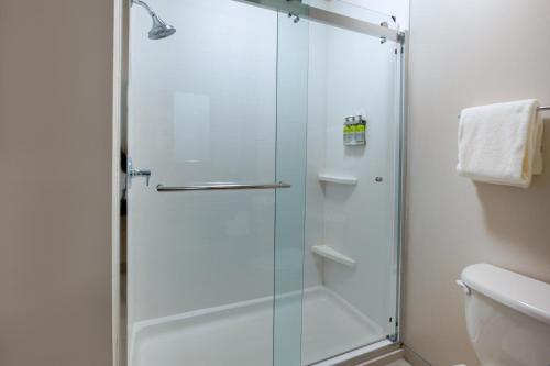 a shower with a glass door in a bathroom at Holiday Inn Express Hotel & Suites Woodhaven by IHG in Woodhaven