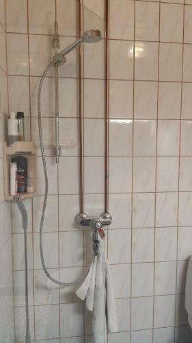 a shower in a bathroom with towels hanging from it at Mumrila in Pori
