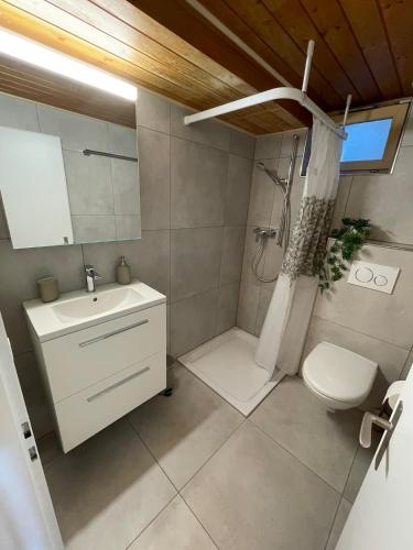 a bathroom with a sink and a toilet and a mirror at Gemütliche 3,5 Zimmer Wohnung in Unterseen