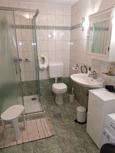 a bathroom with a shower and a toilet and a sink at Prenočišče Breza in Radovljica