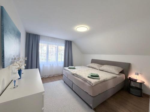 Trewia 8 - Modern Apartment Vaduz Center - free Parking