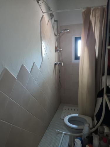 ein Badezimmer mit Dusche und Toilette in der Unterkunft Villinolapieve in Castelfiorentino