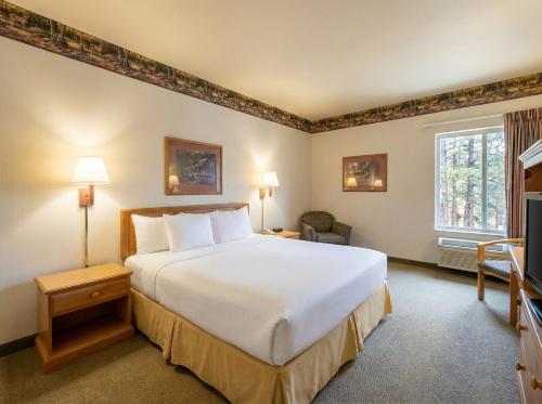 a hotel room with a large bed and a television at Pellston Lodge in Pellston