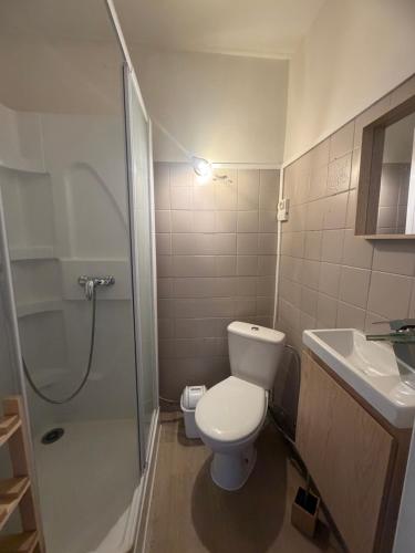 a bathroom with a toilet and a shower and a sink at En prairie in Malmerspach