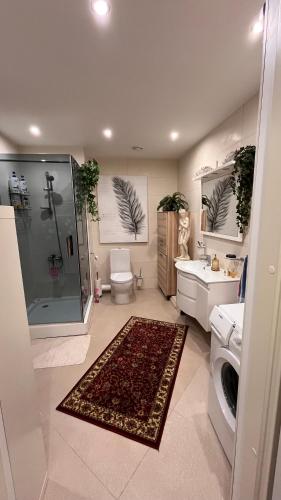 a bathroom with a shower and a toilet and a sink at Best Rest Apartments in Narva-Jõesuu