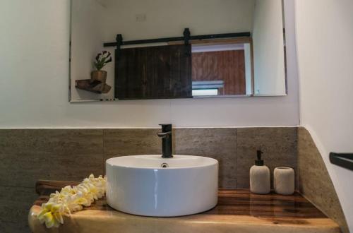 a white sink on a wooden counter with a mirror at Te Manu Lodge in Hanga Roa