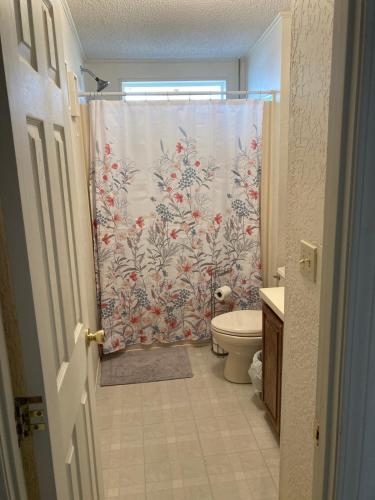 a bathroom with a shower curtain and a toilet at High Plains Hideout 3 bedrooms 2 Baths in WaKeeney