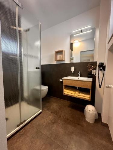 a bathroom with a shower and a sink and a toilet at Deutsches Haus Hotel Restaurant Gastwirtschaft Biergarten am Radweg Bermuthshain in Bermuthshain