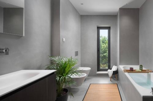 Luxury villa Aria Liznjan in Istria with heated pool