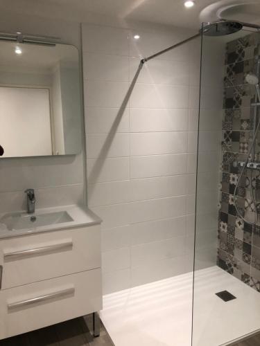 a bathroom with a shower with a sink and a mirror at 1 chambre indépendante dans maison in Tassin-la-Demi-Lune