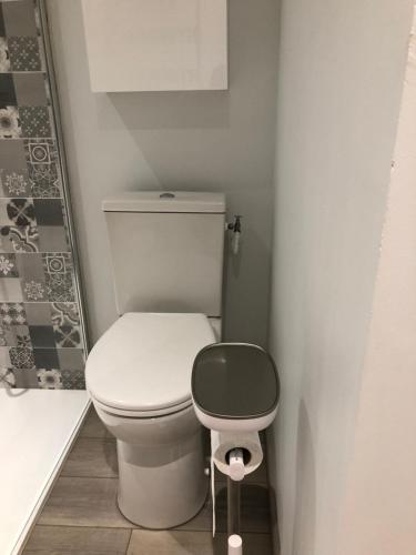 a small bathroom with a toilet and a shower at 1 chambre indépendante dans maison in Tassin-la-Demi-Lune