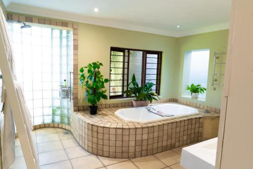 a bathroom with a tub with potted plants in it at Shepherd's Corner Guest House - Tranquil Boutique Stay in Bryanston in Johannesburg