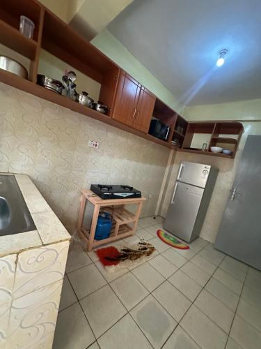 a kitchen with a sink and a refrigerator at The O,S Homestay in Chuka