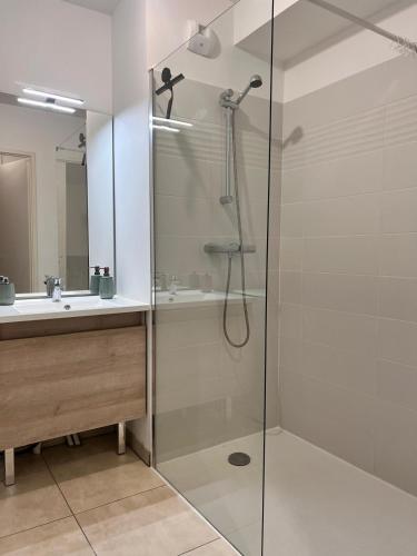 a bathroom with a shower and a sink at T2 Cosy avec Terrasse & 2 parkings privés in Saint-André-de-Cubzac