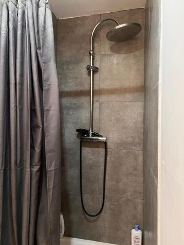 a shower with a shower head in a bathroom at 3- Le saule mauve in Poitiers