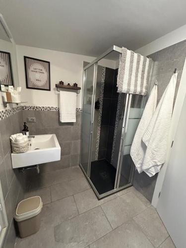 a bathroom with a shower and a sink at Maison Cavallino in Lugo