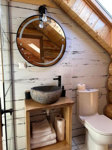 a bathroom with a sink and a toilet at Pensiunea Sub Ursoi in Ieud