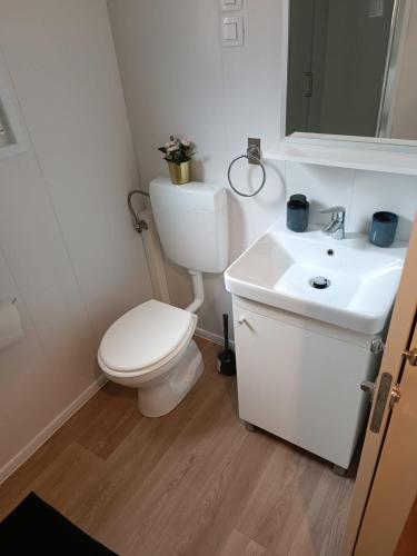 a white bathroom with a toilet and a sink at Max Mobile Home in Biograd na Moru
