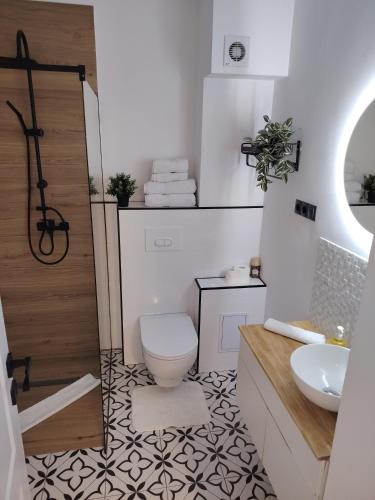 a bathroom with a toilet and a sink at Parc Central Republicii 63 in Baia Mare