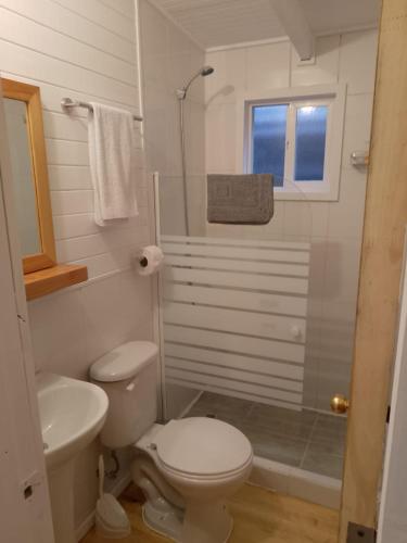 a white bathroom with a toilet and a shower at Alojamiento junto al mar in Chaitén