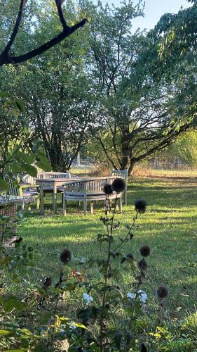 Alte Büdnerei - "Gartenappartement" photo 14