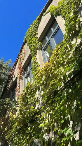 Alte Büdnerei - "Gartenappartement" photo 1