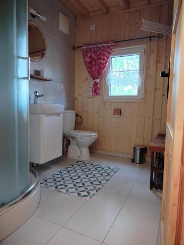 a bathroom with a toilet and a sink and a window at Zielone okiennice in Chobie
