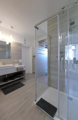 a bathroom with a glass shower and a sink at Maries bunte Villa in Bad Berleburg