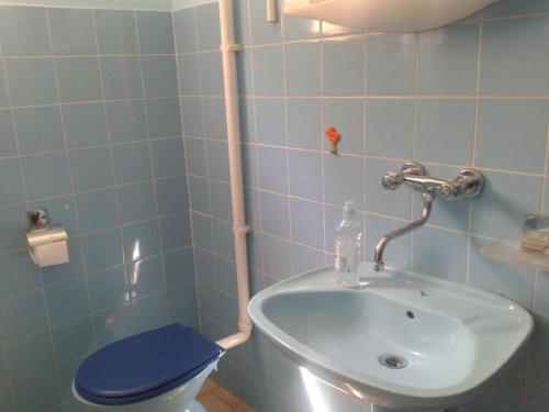 a bathroom with a toilet and a sink at Apartment Dora in Splitska